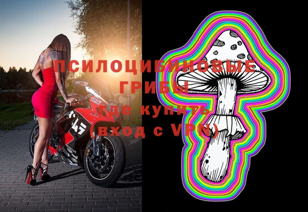 ГАЛЛЮЦИНОГЕННЫЕ ГРИБЫ Краснотурьинск