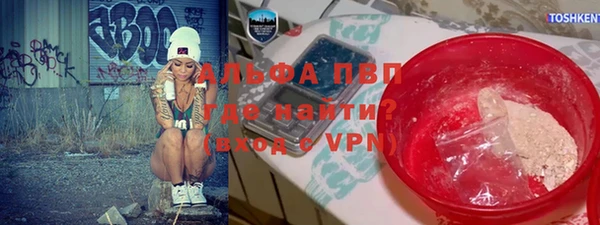 индика Кулебаки