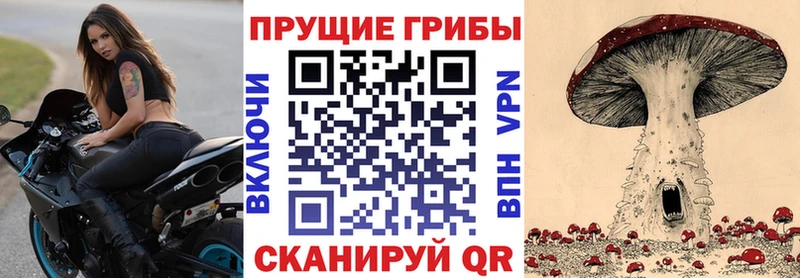 Галлюциногенные грибы Cubensis  Купить закладки  Торопец 