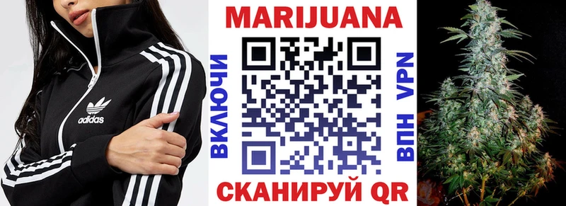 Купить закладки  Торопец  Бошки марихуана планчик 